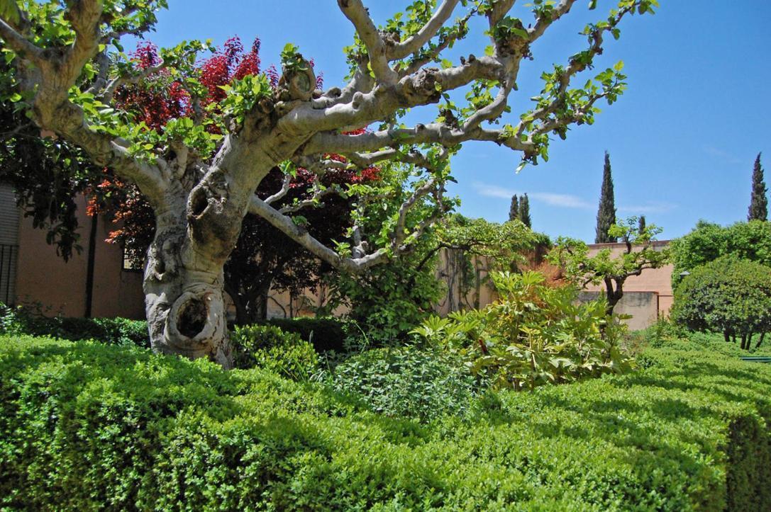 Un Vergel Al Pie De La Alhambra. Enjoy It Now!! กรานาดา ภายนอก รูปภาพ